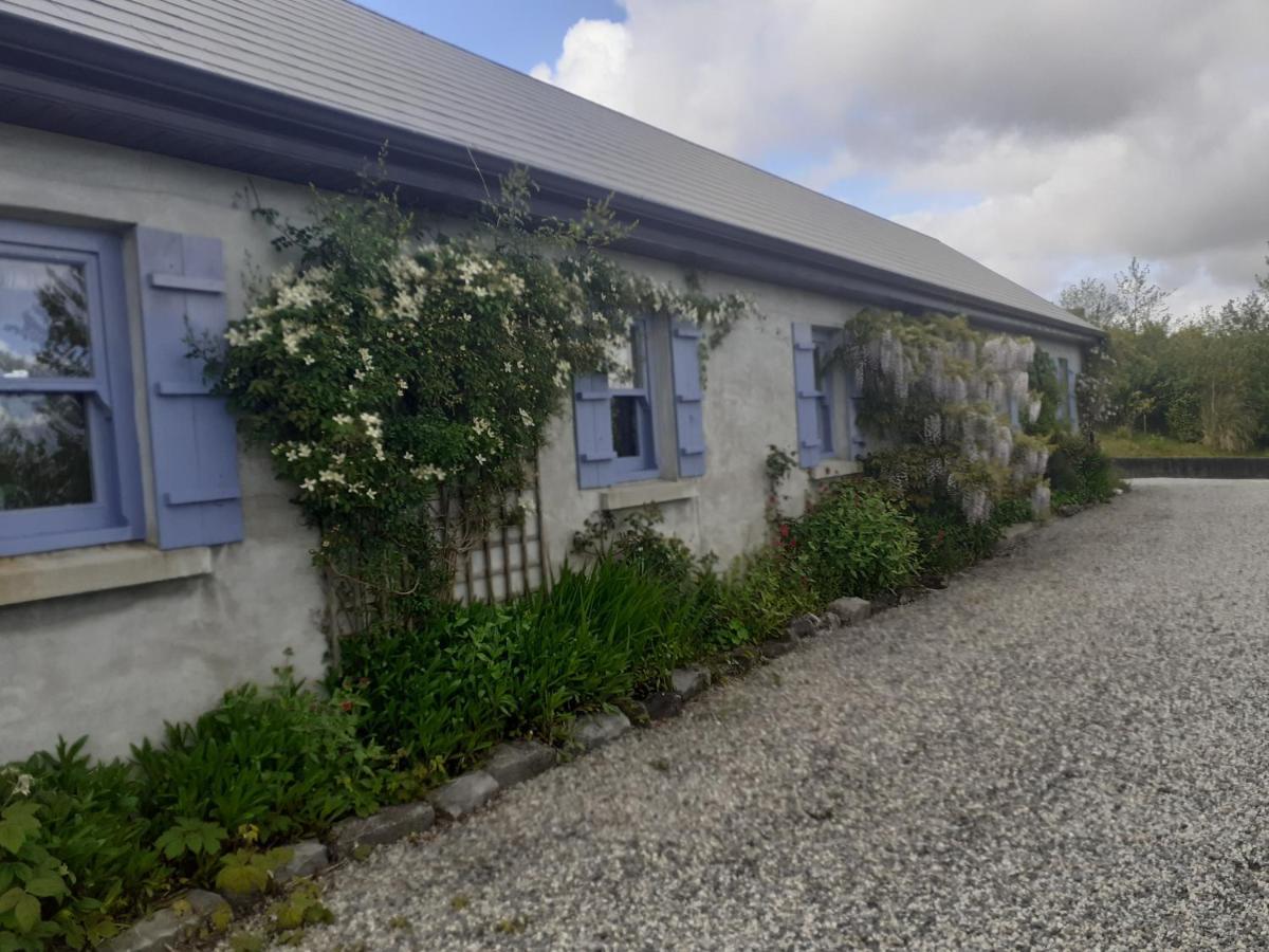 Escape To The Country Villa Westport Kültér fotó